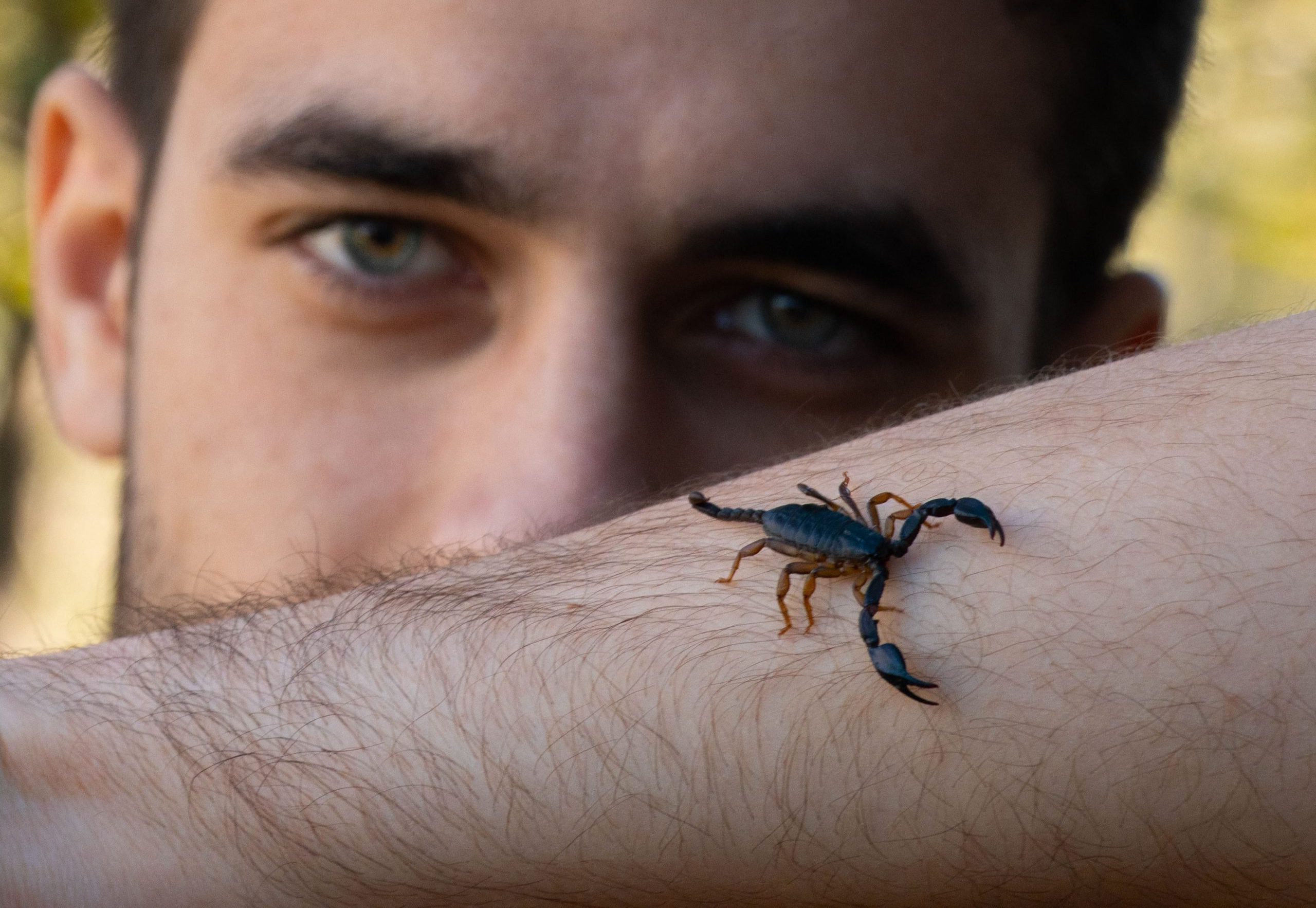 SignScorpio