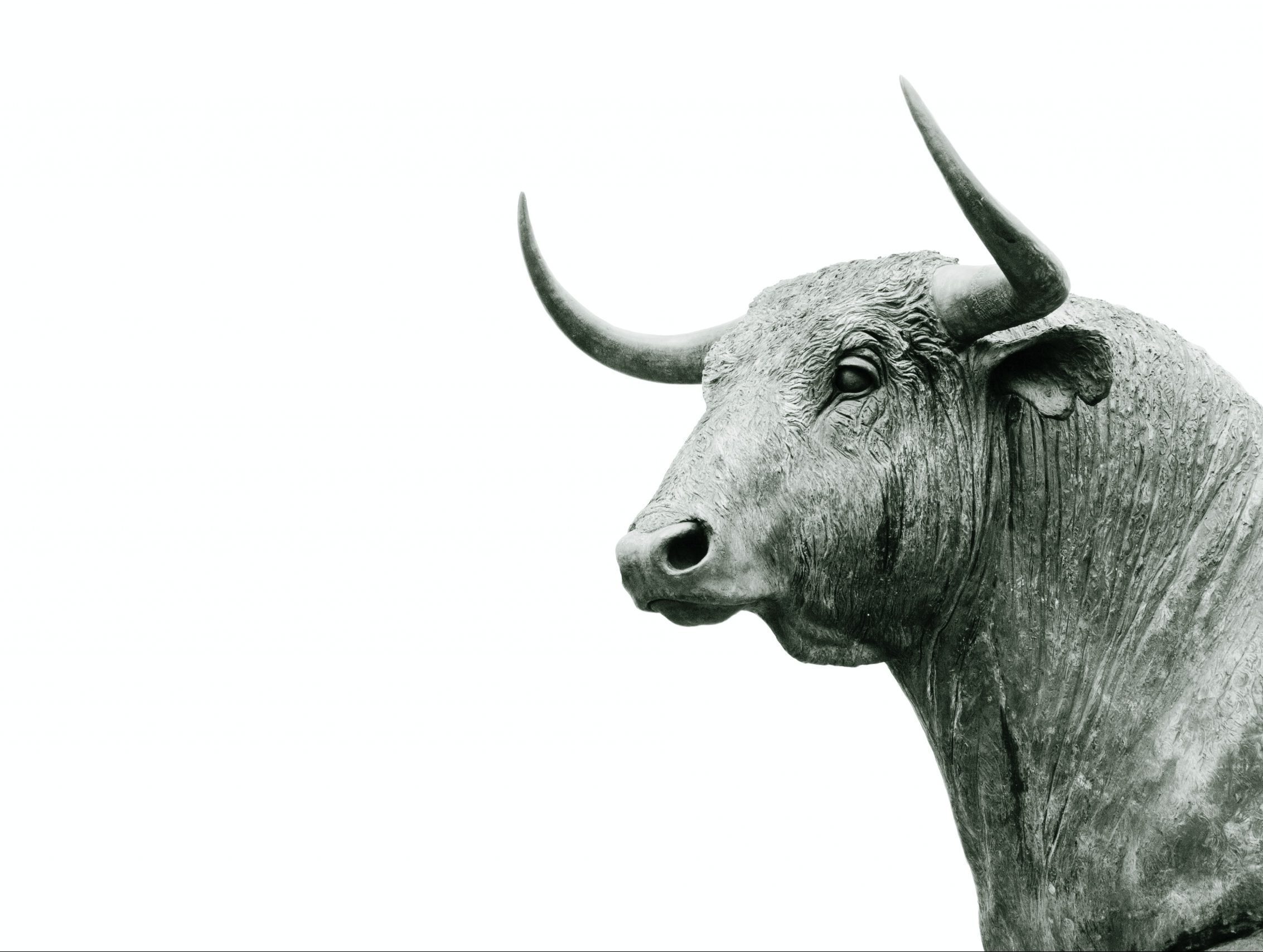 SignTaurus