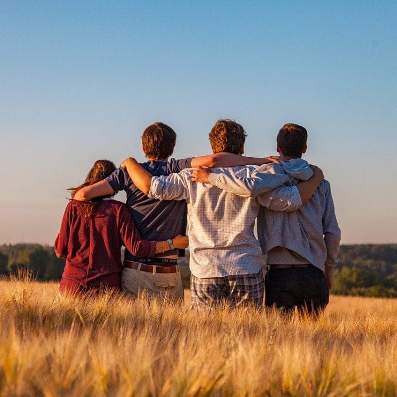 Four people stand in a field with their arms around each other, facing away from the camera, under a clear blue sky.