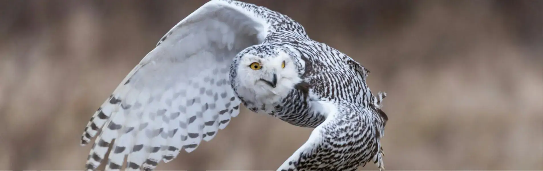 01 Making of You Ep 23 5 Ways Wisdom is life transforming