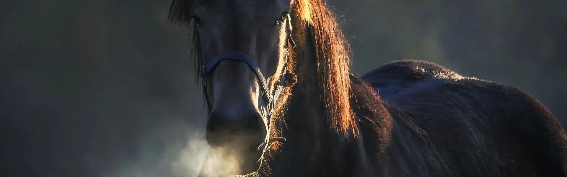 01 Making of You Fire Horse 2026 Ep 64 B