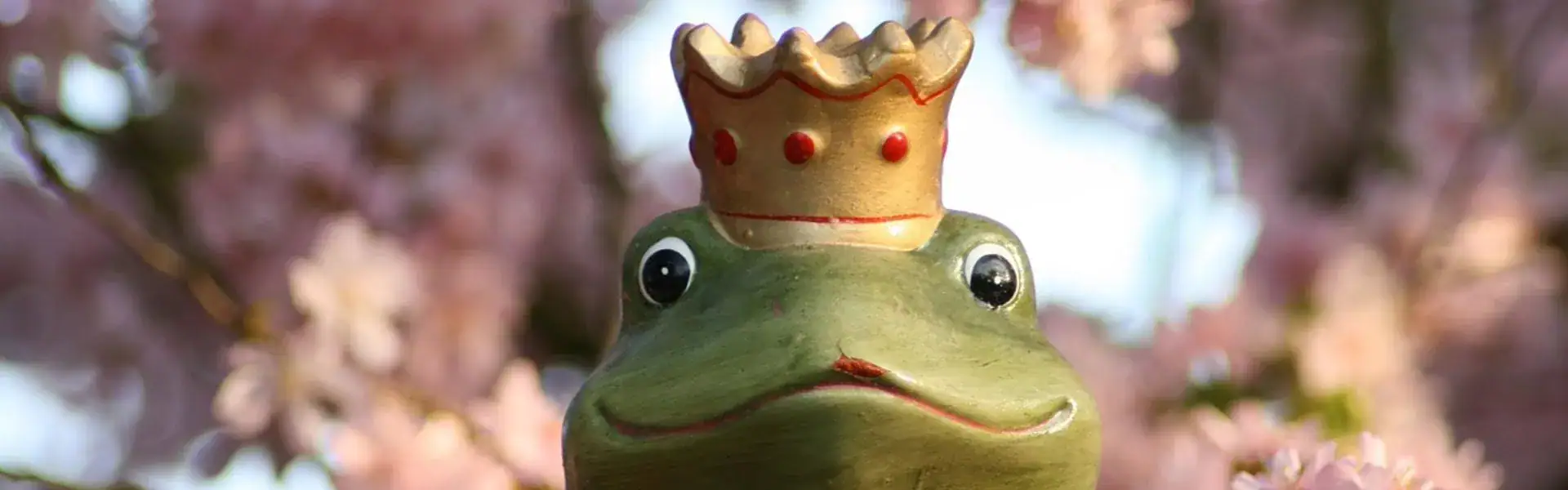 01 The Making of You Frog Prince Ep62 B